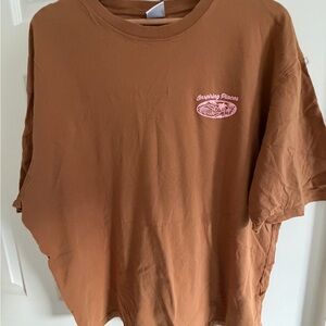 Zara Brown Short Sleeve Tee